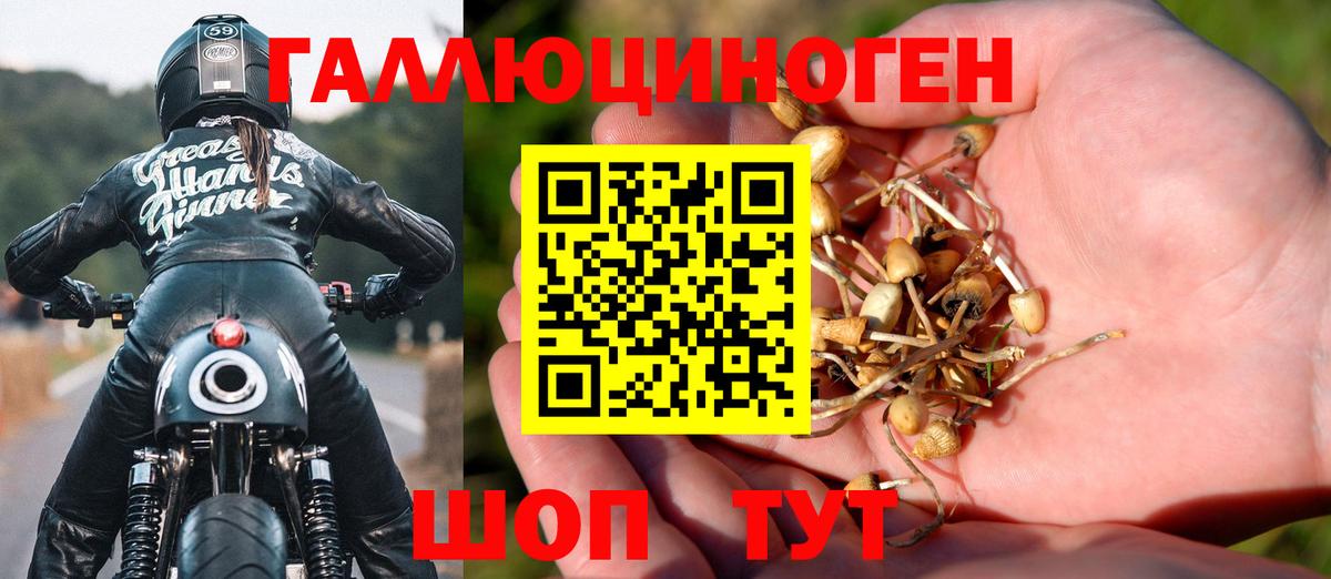 Заволжье  Псилоцибиновые грибы GOLDEN TEACHER  дарнет шоп  Вход с VPN 